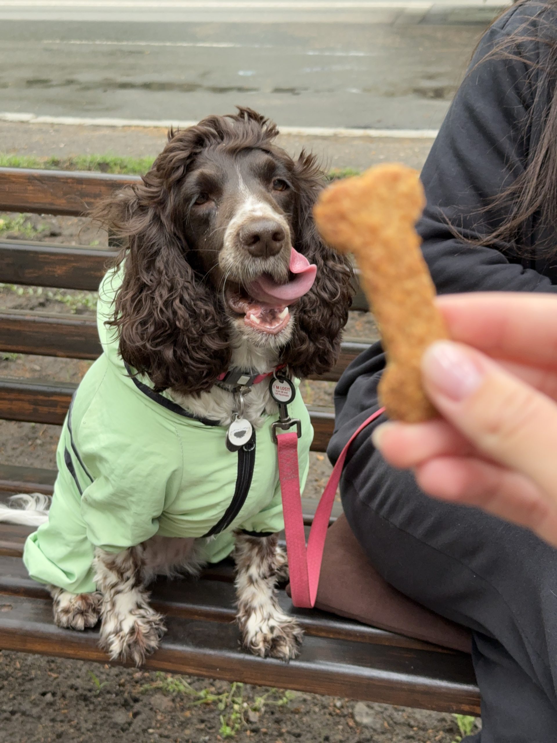 Смаколики великі